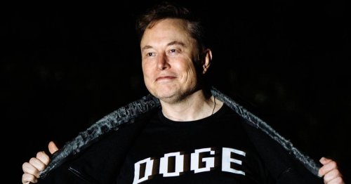 'Like hitting a fly with a sledgehammer': Critics say there are potential privacy risks from DOGE — but can Elon Musk's crew legally access your IRS and Social Security data?