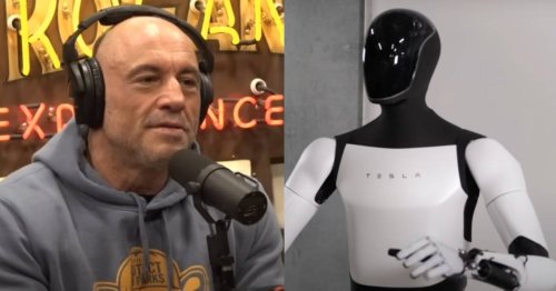 'Elon, what are you doing?': Joe Rogan flipped out when he saw Tesla's Optimus Gen 2 robots moving 'exactly like a person' and even gently holding eggs — 3 top robotics stocks to watch now