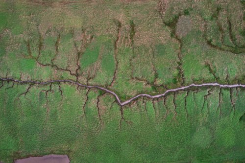 England’s flooded farmlands offer habitat, carbon storage & storm protection
