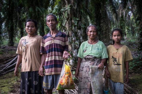 ‘The promise was a lie’: How Indonesian villagers lost their cut of the palm oil boom