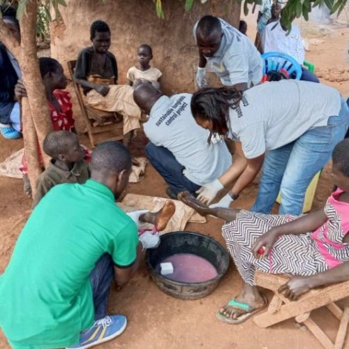 How jiggers were brought to Africa 150 years ago and why we need an
