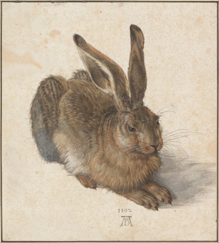 Neuer Arte-Film: Warum der Hase das Lieblingstier der Kunst ist