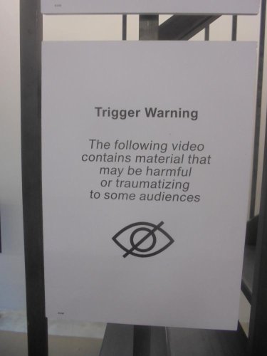 Trigger-Warnungen und Kontextualisierung: Weichspüler für die Kunst