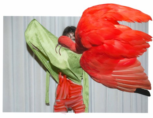 Fotografin Viviane Sassen: "Die Kamera stellt Verbindungen her, aber sie schützt mich auch"