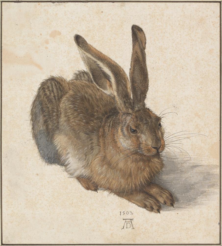 Warum der Hase das Lieblingstier der Kunst ist