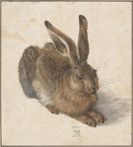 Warum der Hase das Lieblingstier der Kunst ist
