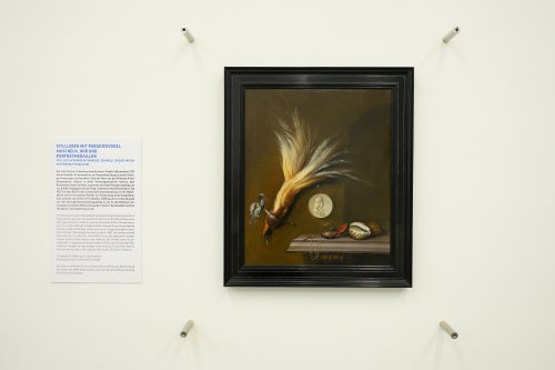 Stillleben mit Paradiesvogel: Wertvolles Gemälde kehrt zurück nach Göttingen