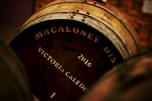 The Patient Art of Whisky Ageing