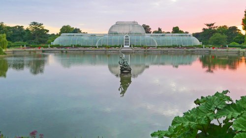 I Kew Gardens: scopri il giardino delle meraviglie di Londra