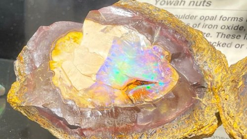 Im Rausch der Opale: Australiens National-Edelstein