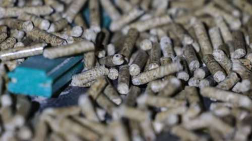 Pelletspreise heute (08.06.): Der aktuelle Preis je Tonne