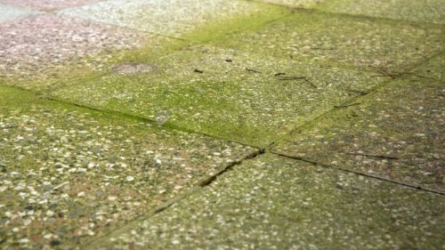 Waschsoda entfernt Grünbelag vom Terrassenboden
