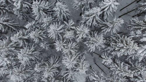 Schnee in Berlin und Brandenburg
