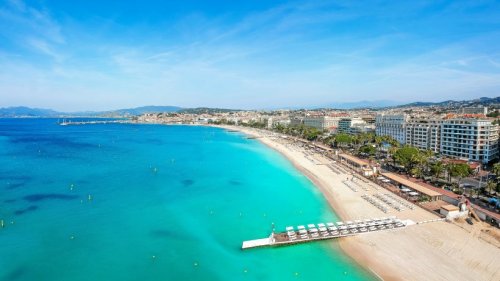 Frankreich: Drückerfische beißen Urlaubern im Meer in die Beine