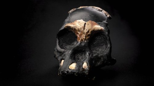 Forscher finden älteste Grabstätte der Welt – mit drastischen Auswirkungen