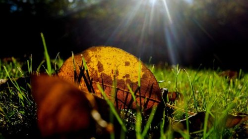 Bessere Wetteraussichten am Donnerstag: Sonne kommt raus