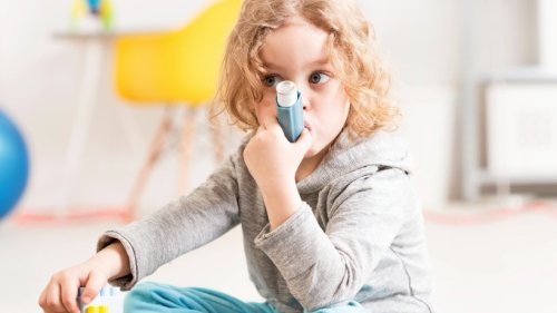 Klimawandel: Experten warnen vor Anstieg bei Asthma und Allergien