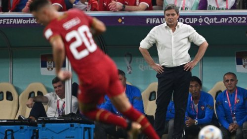 Serbiens Coach Stojkovic: Kein Kommentar zu FIFA-Ermittlung