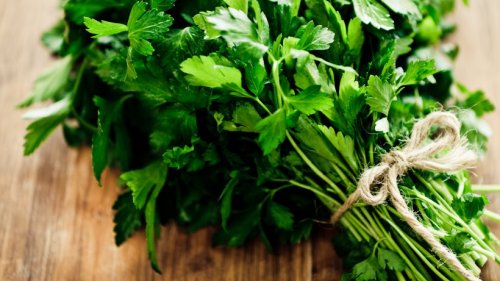 Giftige Pflanze: Wann Sie dieses Küchenkraut nicht essen sollten