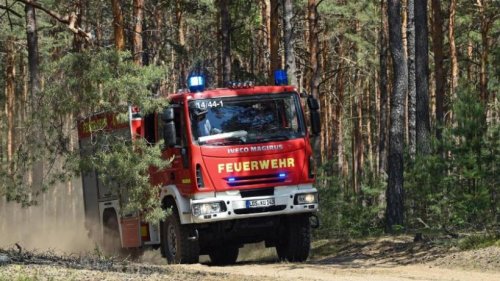 Drei Waldbrände im Landkreis Ostprignitz-Ruppin