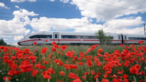 Urlaub: Diese zehn Städte erreichen Sie mit dem Nachtzug
