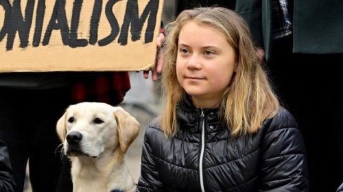 Fridays for Future: Greta Thunberg streikt nicht mehr – das ist der Grund