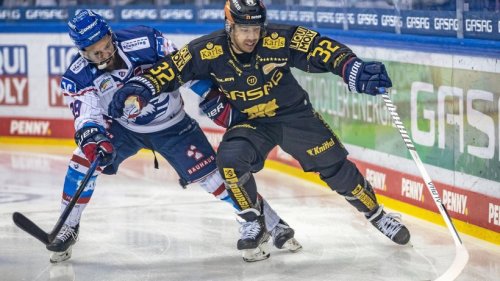 Eishockey: Eisbären Berlin gegen die Adler Mannheim live im TV