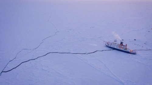 Reisen und Party auf Eisberg: Die „Polarstern“ wird 40