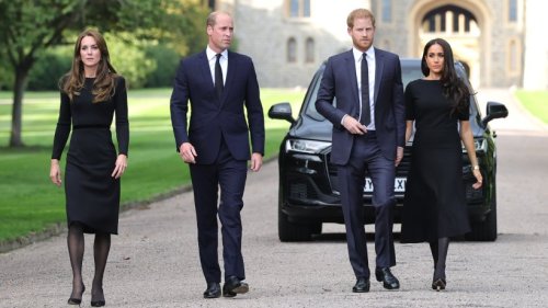 Royals: So steht es um ein Wiedersehen bei Prinz William und Harry