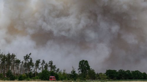 Brand in Lieberoser Heide auf 50 Hektar ausgeweitet