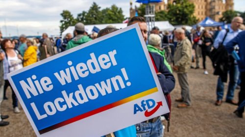 AfD nutzt Klima-Debatte im Wahlkampf erfolgreich für sich