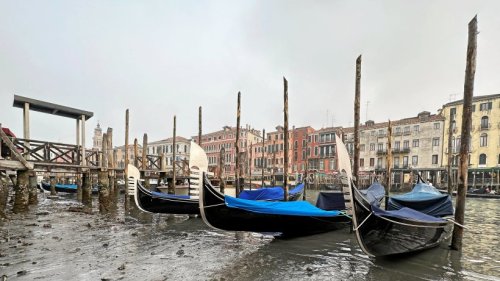 Italien: Dürre trifft Venedig – was jetzt Abhilfe schaffen soll