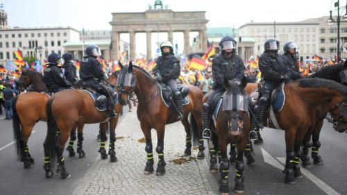 AfD Demo Berlin 2022: Route, Ablauf, Gegen-Demonstrationen - Alle Infos