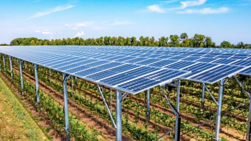 Solarenergie: Landwirte können Deutschlands Energiesorgen lösen