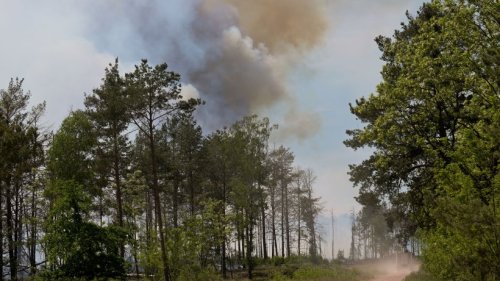 Waldbrand bei Jüterbog: Feuerwehr mit düsterer Prognose