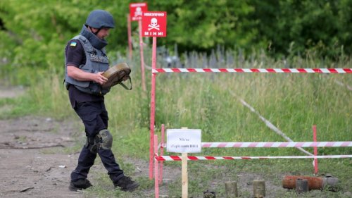 Ukraine setzt verbotene Landminen ein – Menschenrechtsorganisation mit Kritik
