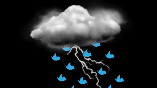 Twitter Is Regressing Into a Cesspool of Climate Misinformation