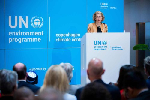 UN Environment Chief Warns of a Biodiversity Apocalypse