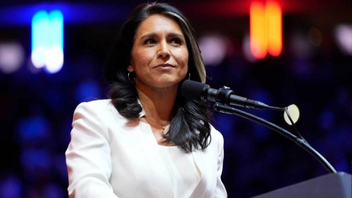 Tulsi Gabbard Keeps Starting Up PACs. Where Is the Money Going?