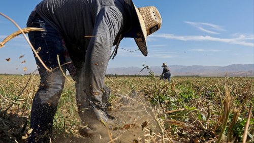 conservative-courts-and-the-filibuster-are-blocking-heat-protections