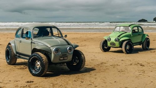 Strand-Käfer: Der Baja Bug ist zurück