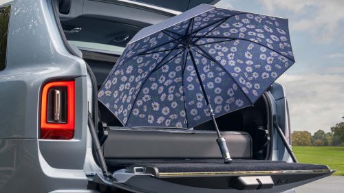 Une Rolls-Royce pour les amoureux des marguerites