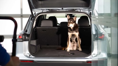 VW Tayron kommt zur Markteinführung auf den Hund: Wuff im SUV