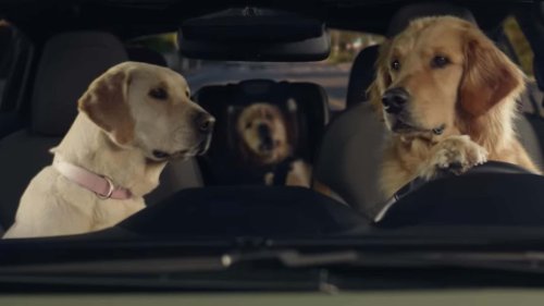 Watch Subaru's Six Adorable New Dog Commercials For Crosstrek, Impreza