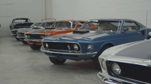 Massive Ford Collection Includes Rare Mustangs And Shelby Cobras