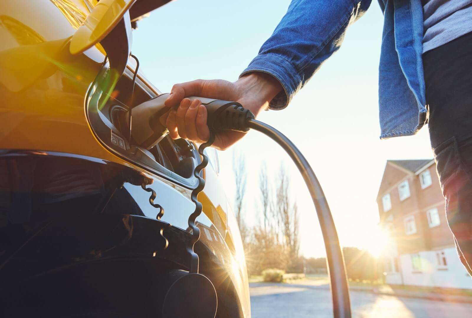 Other automakers’ EVs cannibalize Tesla market share amid sales shift