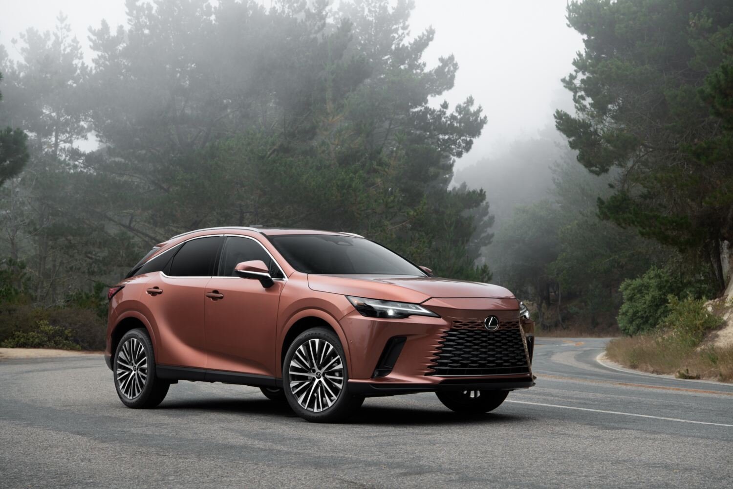 10 Worst Things About Owning a Lexus
