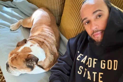 Sorge um Roscoe: Hamilton bekommt bei jeder WhatsApp einen Herzstillstand
