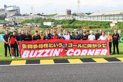 Für die Bienen: Vettel bemalt Suzuka-Randsteine gelb-schwarz