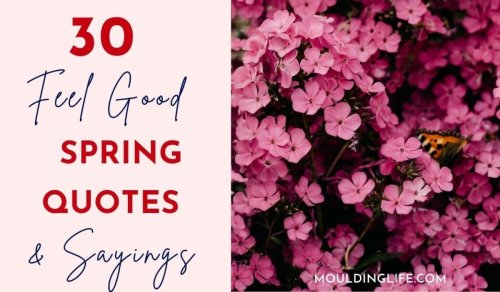 30 Happy Spring Quotes